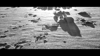 Mashrou Leila Bahr Feat Erik Truffaz Official Music Video مشروع ليلى بحر 