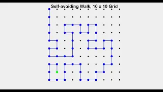 Self Avoiding Walks