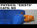 Animal memes that cure my depression