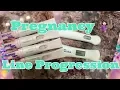 BETA RESULTS PREGNANCY TEST LINE PROGRESSION FET