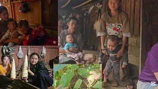 Kv meb cov deb txi ntau kawg li meb thiab phob nkawv los tsev lawm11 สิงหาคม ค.ศ. 2026