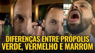 PRÓPOLIS VERDE, VERMELHO E MARROM! DESCUBRA O MELHOR PARA VOCÊ