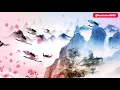 梅艷芳Anita MUI 《女人花》#電影歌曲 #anitamui  #梅艷芳 #女人花 #chinese #music