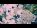 ฉันดีใจที่มีเธอ : บอย โกสิยพงษ์ Feat. กิติวัฒน์ แสงประทีป (ใหม่)