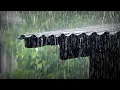 Lagu Heavy Rain \u0026 Thunder on Roof for Deep Sleep | Relaxing Storm Sounds for Insomnia Relief 