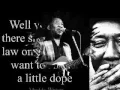 Muddy Waters - Going Down Slow - Dimitris Lesini Blues Greece