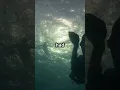 The Diver Swallowed by a Whale Michael Packard s Incredible Tale