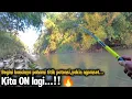 Download Lagu KALO SUDAH KETEMU TITIK IKAN POSITIP KITA PANEN GAISS//mancing di sungai brantas