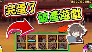 『貓咪大戰爭』完蛋了，挑戰新的競技場...沒想到是破產遊戲，沒錢怎麼養貓貓！【巧克力】