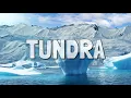 What Is the Tundra Biome