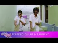 Download Lagu Perpendicular और Tangent की दोस्ती | Gangs of वासेपुर - Part 2 | Nawazuddin Siddiqui