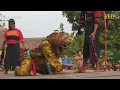 Download Lagu ROGO SAMBOYO PUTRO RSP 1289 Singo Kumbang Macan Kumbang Kewan Alas - Jawa Dwipa