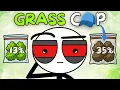 Weed Myths You Still Believe