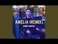 Amelia (Remix)