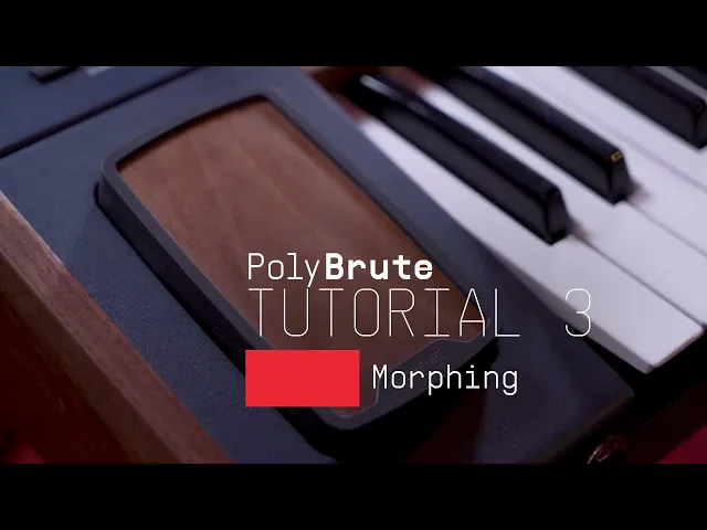 Ep. 3: Morphing