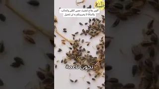 اقوى وصفة لتفتيت حصي الكلي لن تتخيلها 