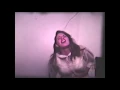 Helvetia - Hybrid Moments
