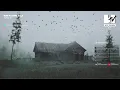 Witch House Music Stream #9 | Discord Community