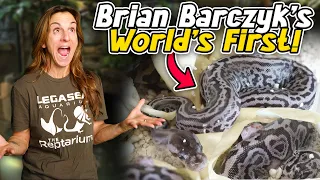 Hatched 3 Brian Barczyk’s WORLD'S FIRST Blue and Silver Snakes!
