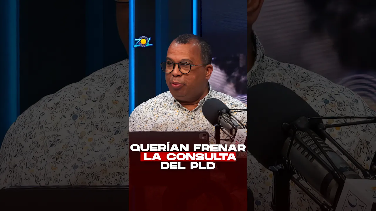 “SECTORES FUERTES Y PODEROSOS DEL PLD INTENTARON OBSTRUIR LA CONSULTA”