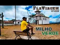 MILHO VERDE MG