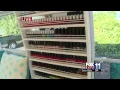 A Mobile Nail Salon Stops By Fox 11