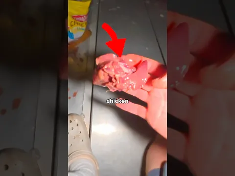 I Fished with Chicken Liver ππ£