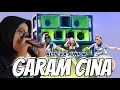 Download Lagu Garam cina dangdut koplo version aldeva junior bawaan nya kepingin goyang