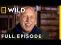 Incredible The Story of Dr Pol Full Episode The Incredible Dr Pol