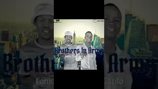 tonicsoul u0026 cardo feat hectic boyz brothers in army