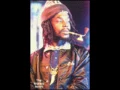 Peter Tosh  -  Wanted Dread and Alive