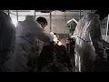 Download Lagu DEAN FUJIOKA - “Apple” Music Video