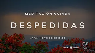 Meditación para Superar una Pérdida y Atravesar el Duelo | Despedida con Compasión y Aceptación 🧘‍♀️