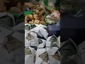 Download Lagu Nasi kucing tapi tidak ada kucingnya hhh.....