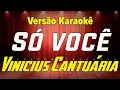 Download Lagu Vinicius Cantuária Só você Karaokê