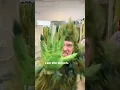 Grinch Costume Re-Fitting Day