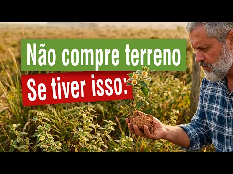 Vídeo do YouTube