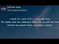 The Japanese House - Sunshine Baby (Lyrics) | I don't know what's right anymore