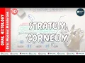 Stratum Corneum OMM Dr Paridhi Agrawal