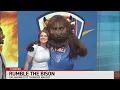 Rumble the Bison visits FOX 25 as excitement ramps up for the playoffs
