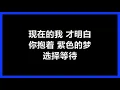 许绍洋 - 《花香》 [歌词]
