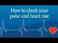 Download Lagu How to check your pulse and heart rate