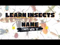 10 Insects Names That Start with the Letter G Learn About the Fascinating World of Bugs