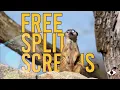 10 Free Split Screens For DaVinci Resolve