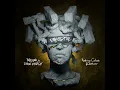 Paradise (Vintage Culture Remix) (feat. Dermot Kennedy) - MEDUZA