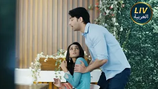 الموسم 101 حلقات كامله قليل من ألوان الحب مثير للاهتمام حيث يأخذ ديف سونا 