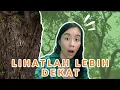 Download Lagu Lihatlah Lebih Dekat [Look Closer]