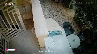 فيديوهات كاميرات مراقبة أمام جهات التحقيق في قضية رحمة محسن ما القصة رحمه محسن 