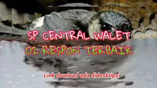 Download SP CENTRAL WALET 02 RESPON TERBAIK MP3
