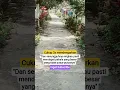 Download Lagu Jalan Berbunga #vidio short#